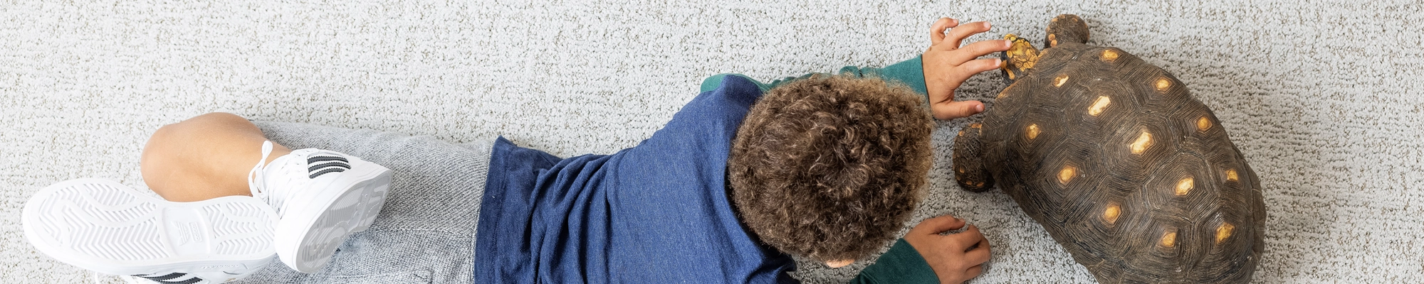 What Carpets Plus the BEST Choice for Flooring? Carpets Plus flooring associates will help you select the perfect flooring for your particular application.