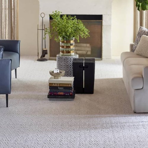 Living Room Pattern Carpet - {{ name }} in {{ location }}