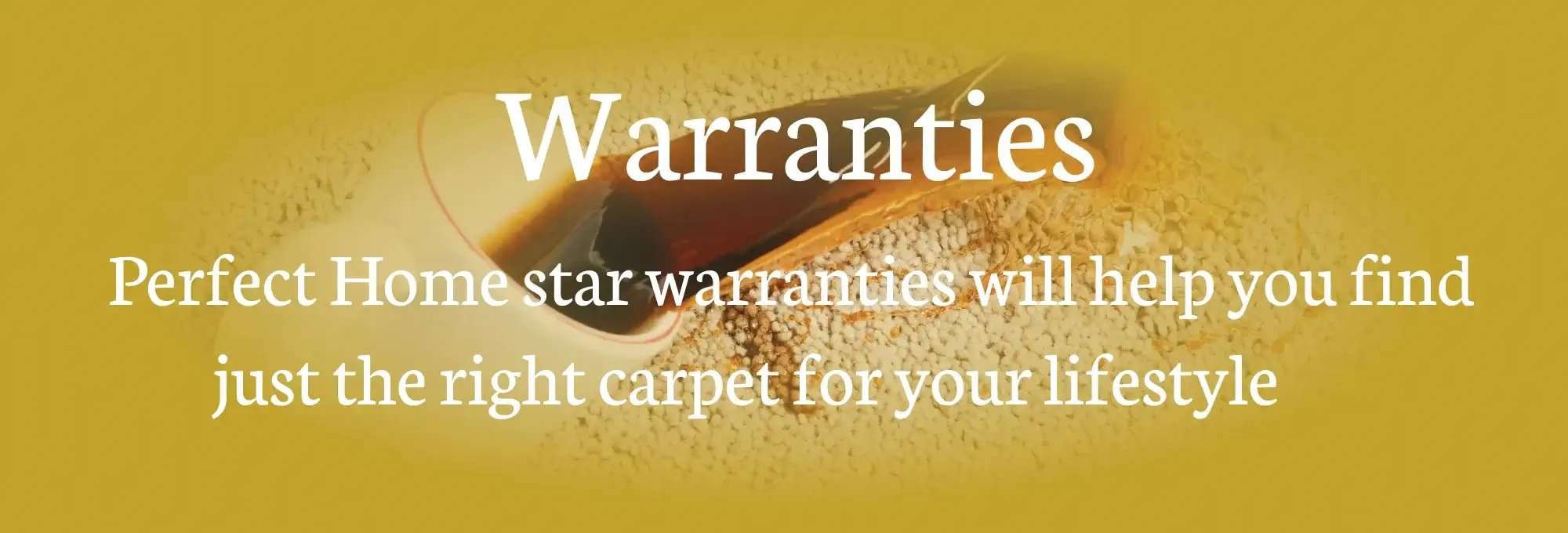 Perfect Home carpet
