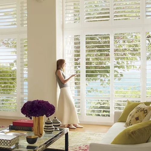 Hunter Douglas products offered by {{ name }}
